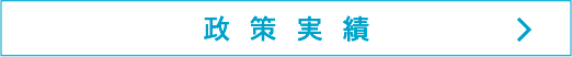 政策実績