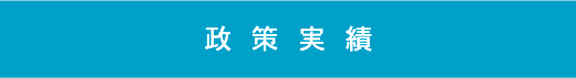 政策実績